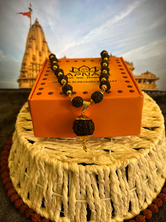 5 Mukhi Rudraksha With Lab Certified, Wood Pendant - Original + Mysterious🎁Gift