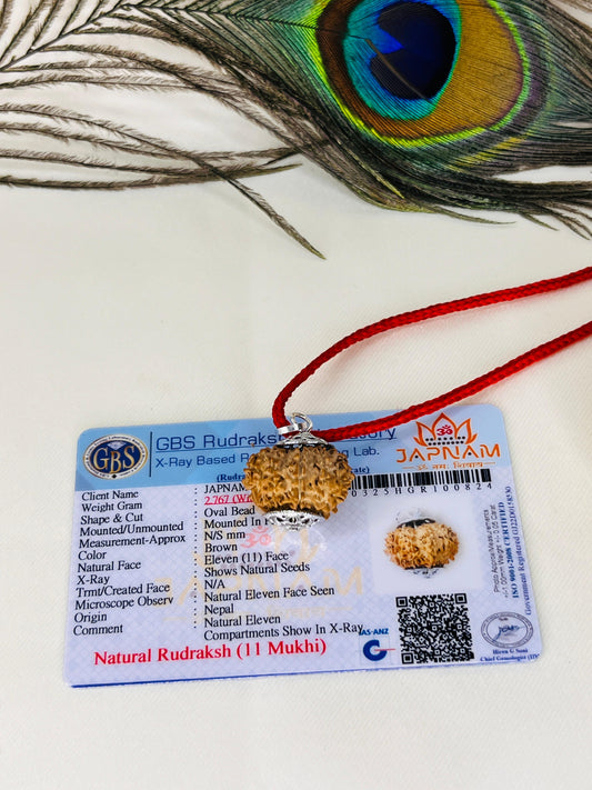 11 Mukhi Rudraksha With (Lab Certified - Nepali origin) + Gift 🎁 Laxmi Silver Plated Coin
