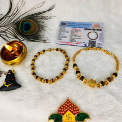 Japnam Rudraksha Rakhi Combo – Choose Rakhi for Brother, Bhai-Bhabhi, or Sister (Lab certified rudraksha)