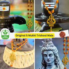 (1 +1+Gift) Golden Plated Om Trishul Rudraksha Mala with Elegant Rudraksha Bracelet & 🎁 Surprise Gift!